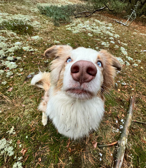 Gdyby to było łatwe, zrezygnowalibyśmy