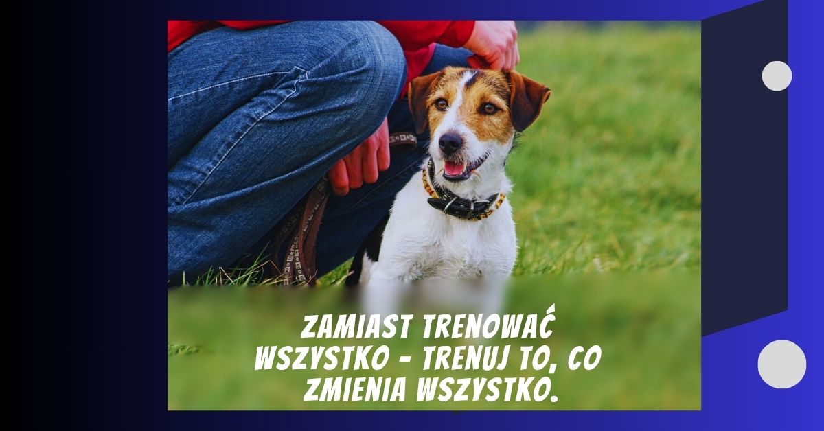 Pakiety tematyczne – małe kroki, wielkie zmiany