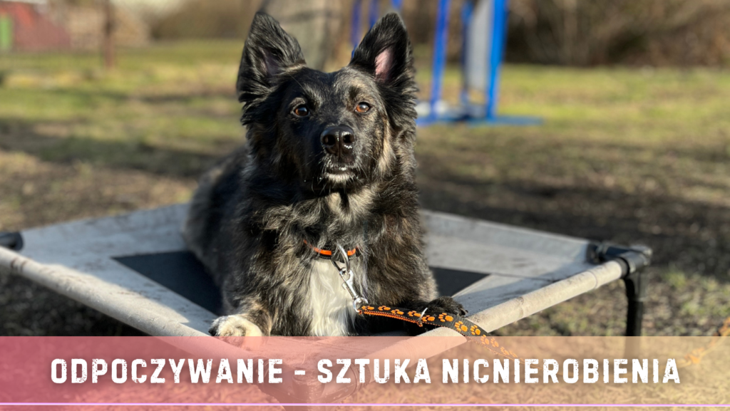 warsztaty z odpoczywania